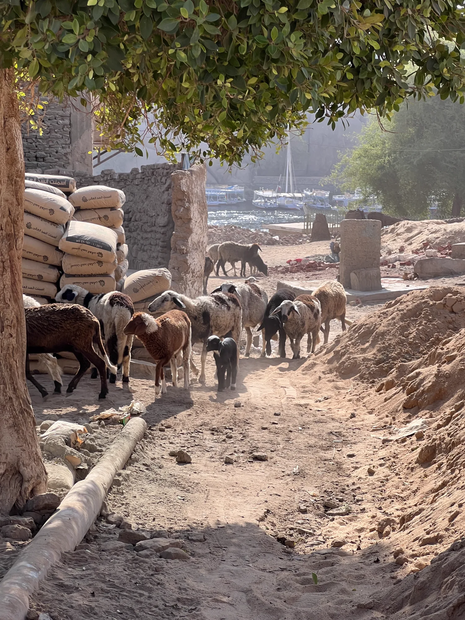 Egypt